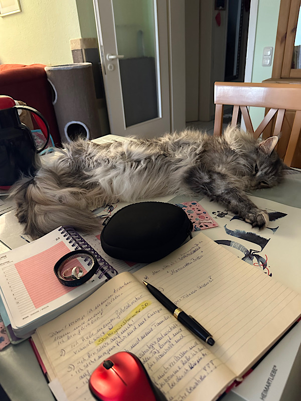 Katze und Notizen auf dem Tisch